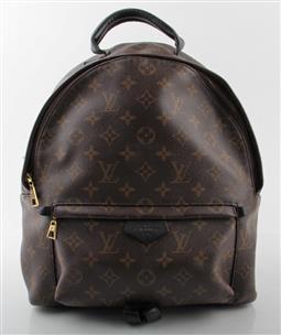 Louis Vuitton Monogram Palm Springs MM Backpack